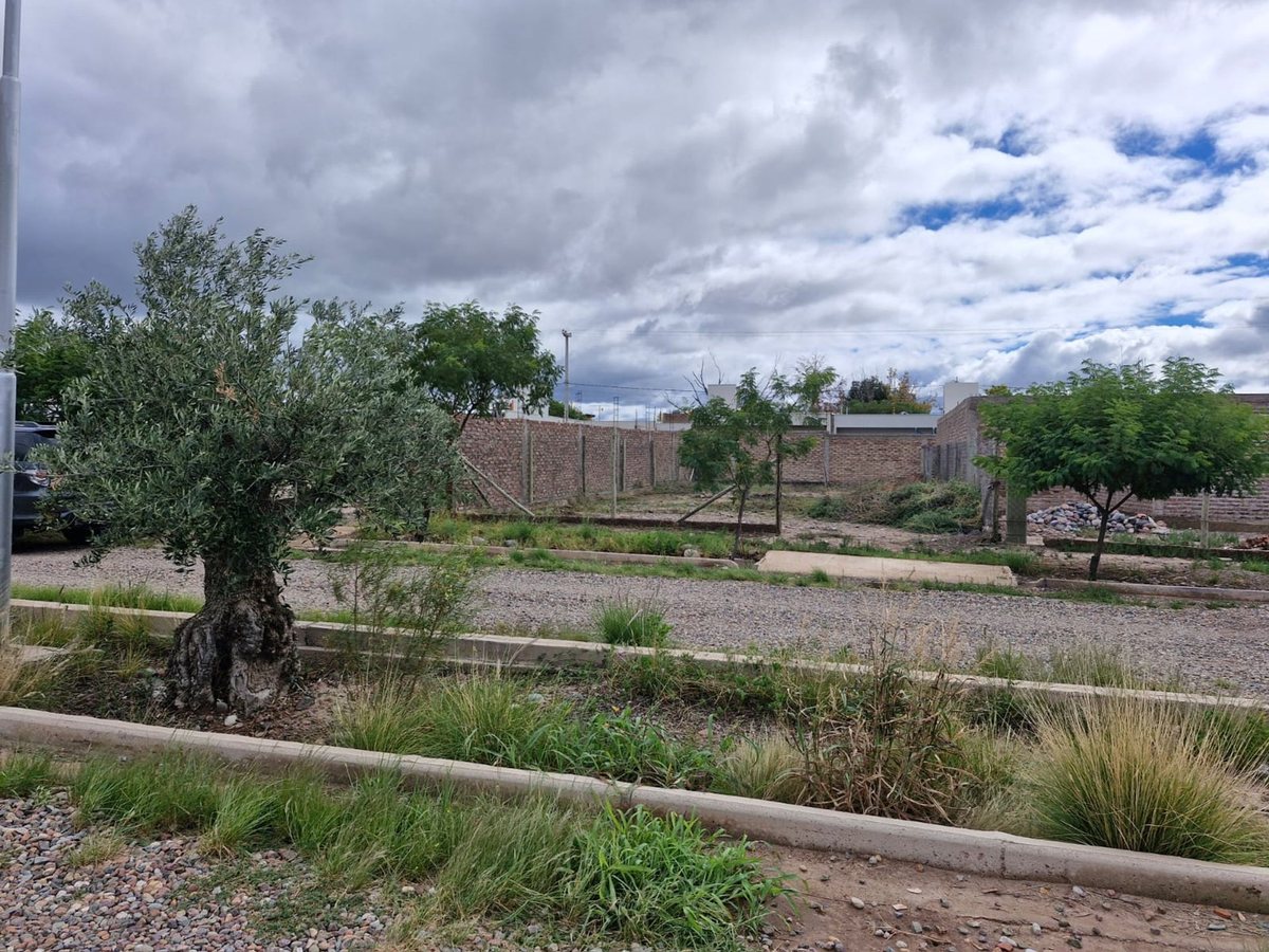 Lote en Venta en Lujan de Cuyo, Mendoza
