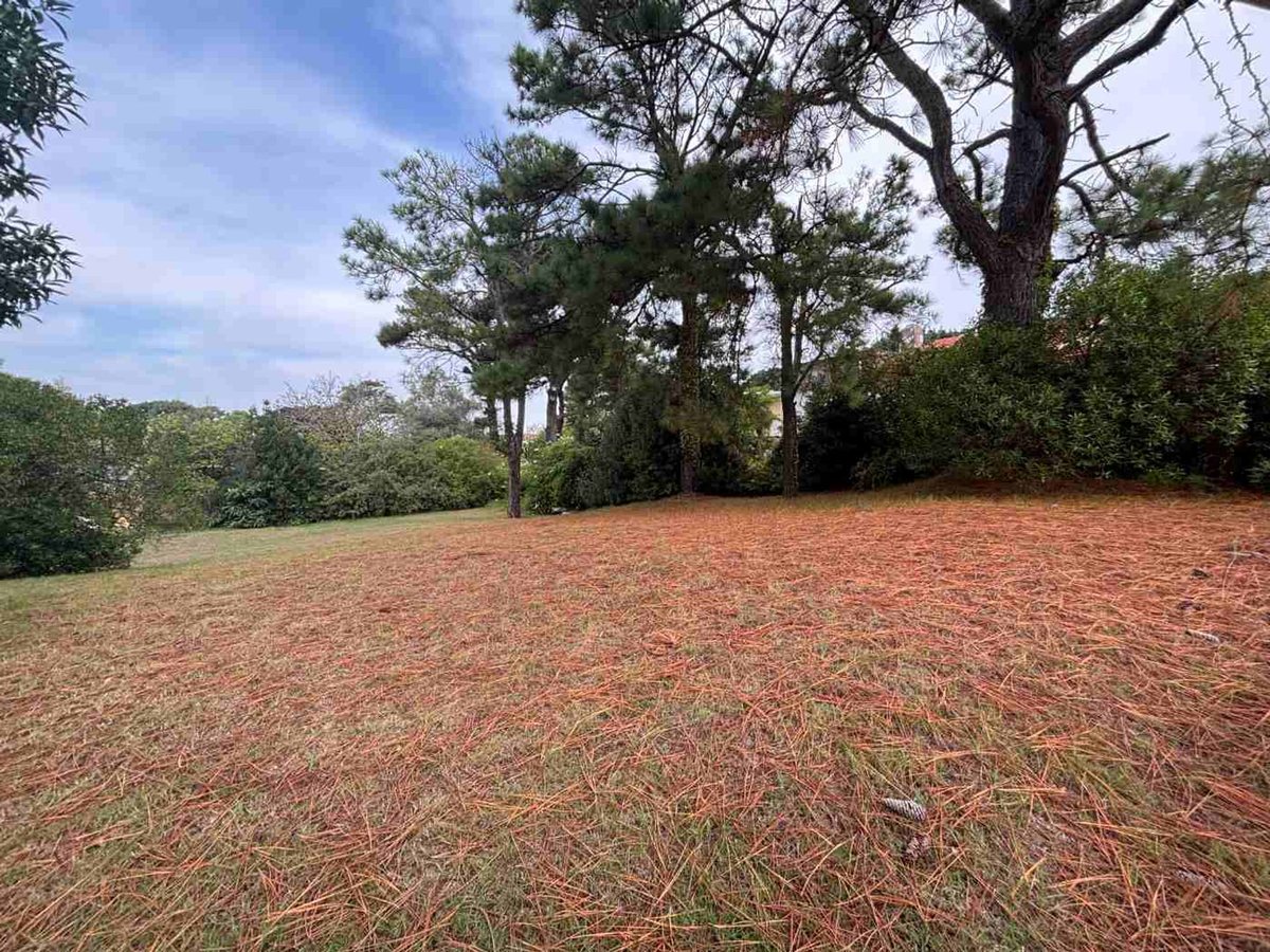 Lote en Venta en Pinamar, Buenos Aires Interior