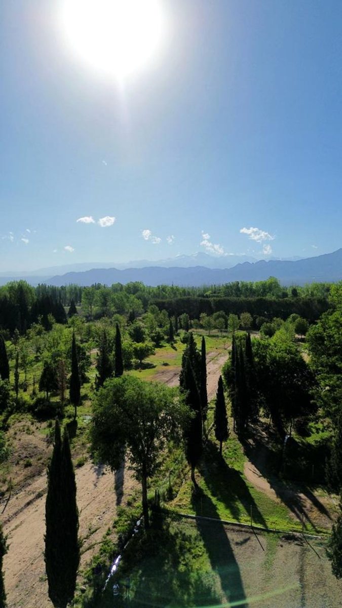 Lote en Venta en Lujan de Cuyo, Mendoza