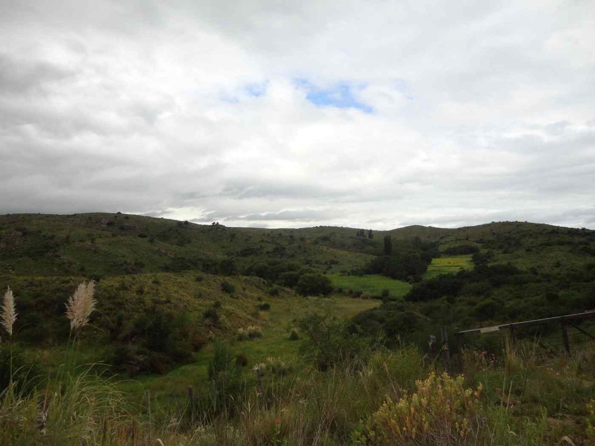 Campo en Venta en El Trapiche, San Luis