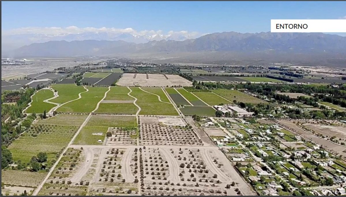 Lote en Venta en Lujan de Cuyo, Mendoza