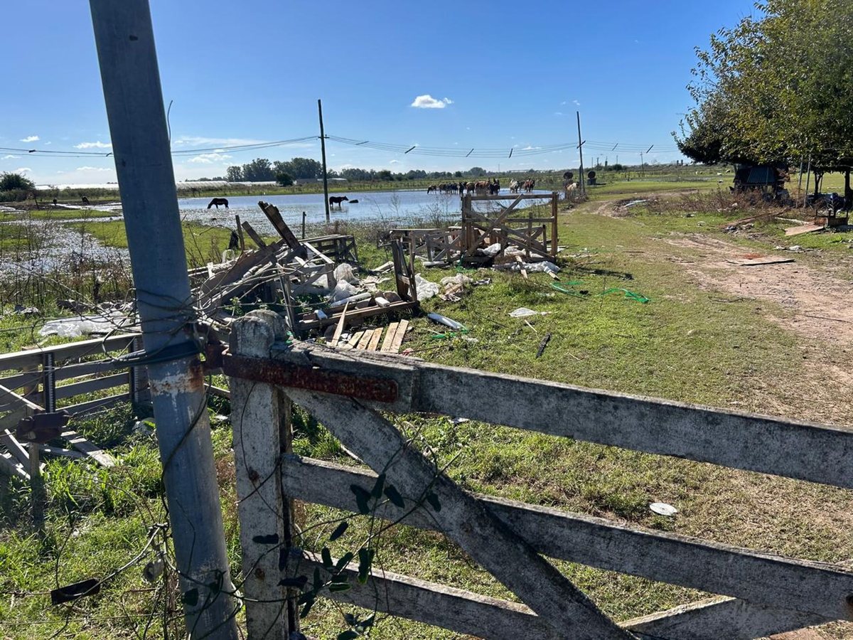 Campo en Venta en Campana, G.B.A. Zona Norte