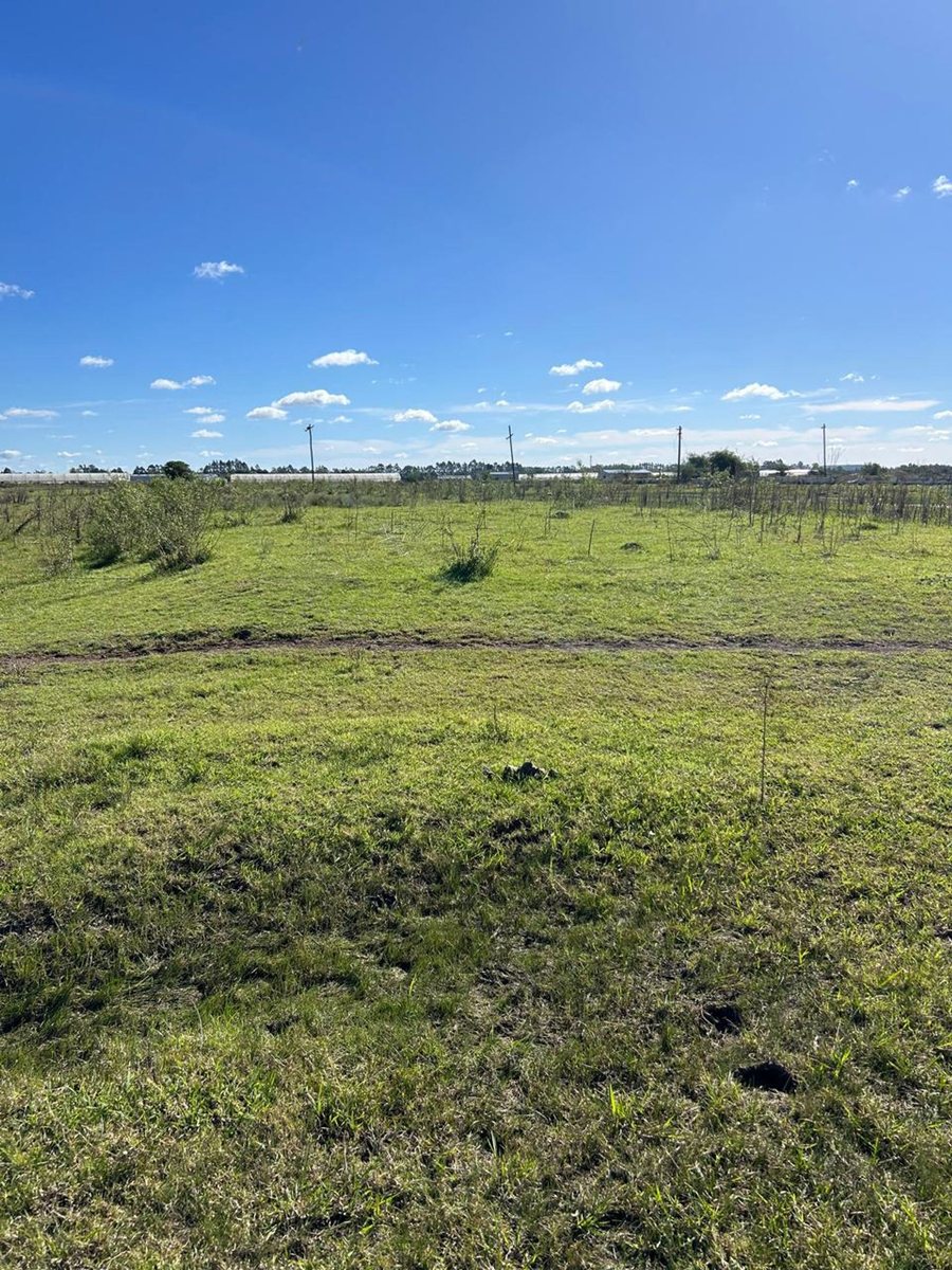Campo en Venta en Campana, G.B.A. Zona Norte