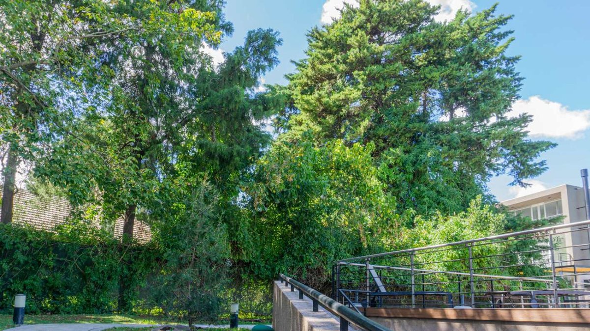 Casa en Venta en San Isidro, G.B.A. Zona Norte