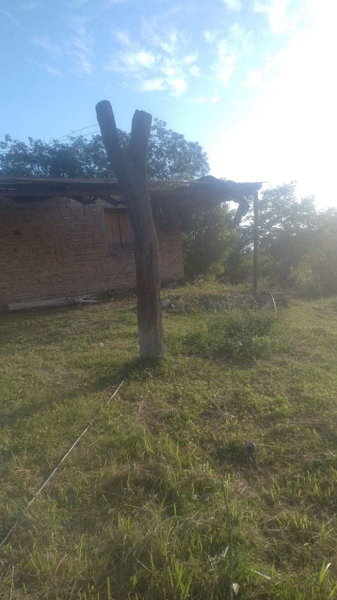 Quinta en Venta en Poman, Catamarca