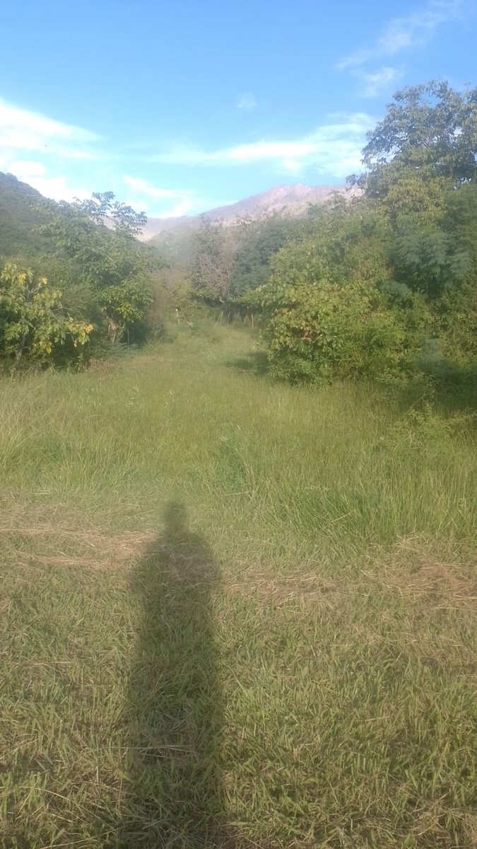 Quinta en Venta en Poman, Catamarca
