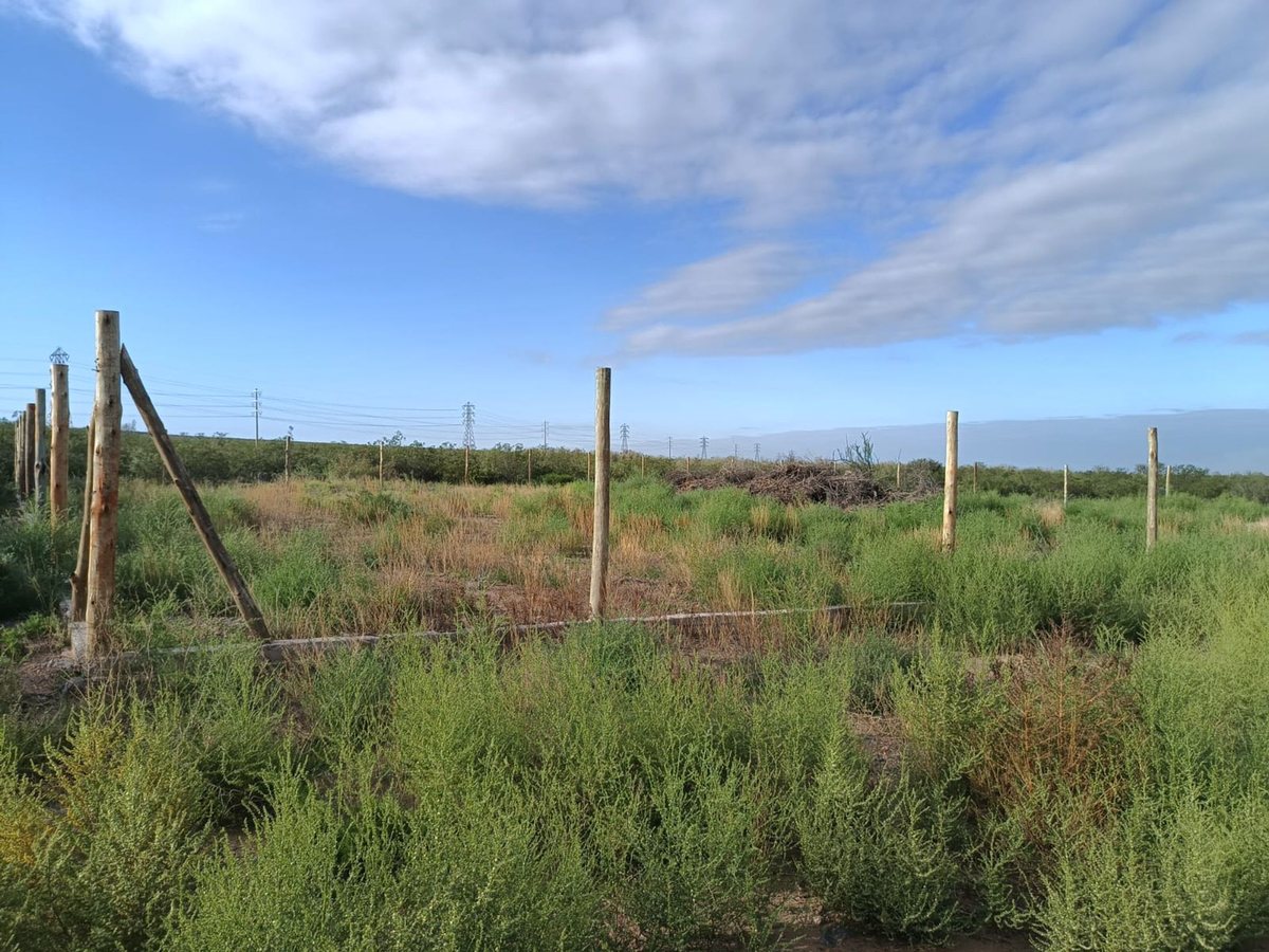 Lote en Venta en Lujan de Cuyo, Mendoza