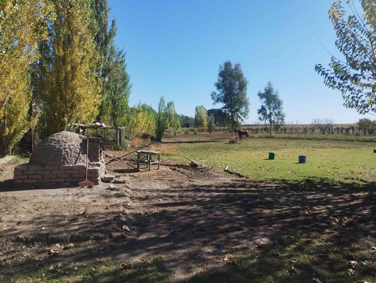 Campo en Venta en Santa Rosa, Mendoza