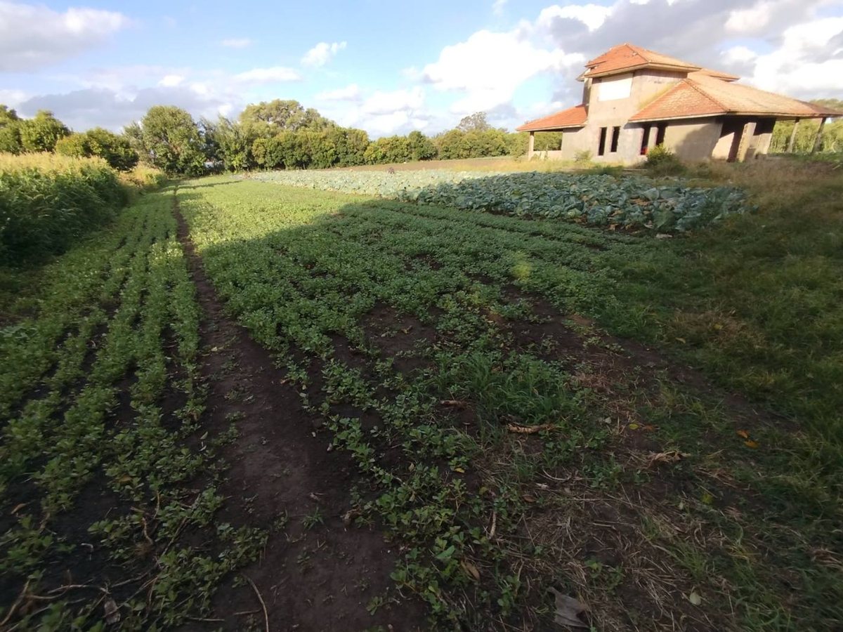 Campo en Venta en Mar del Plata, Buenos Aires Interior