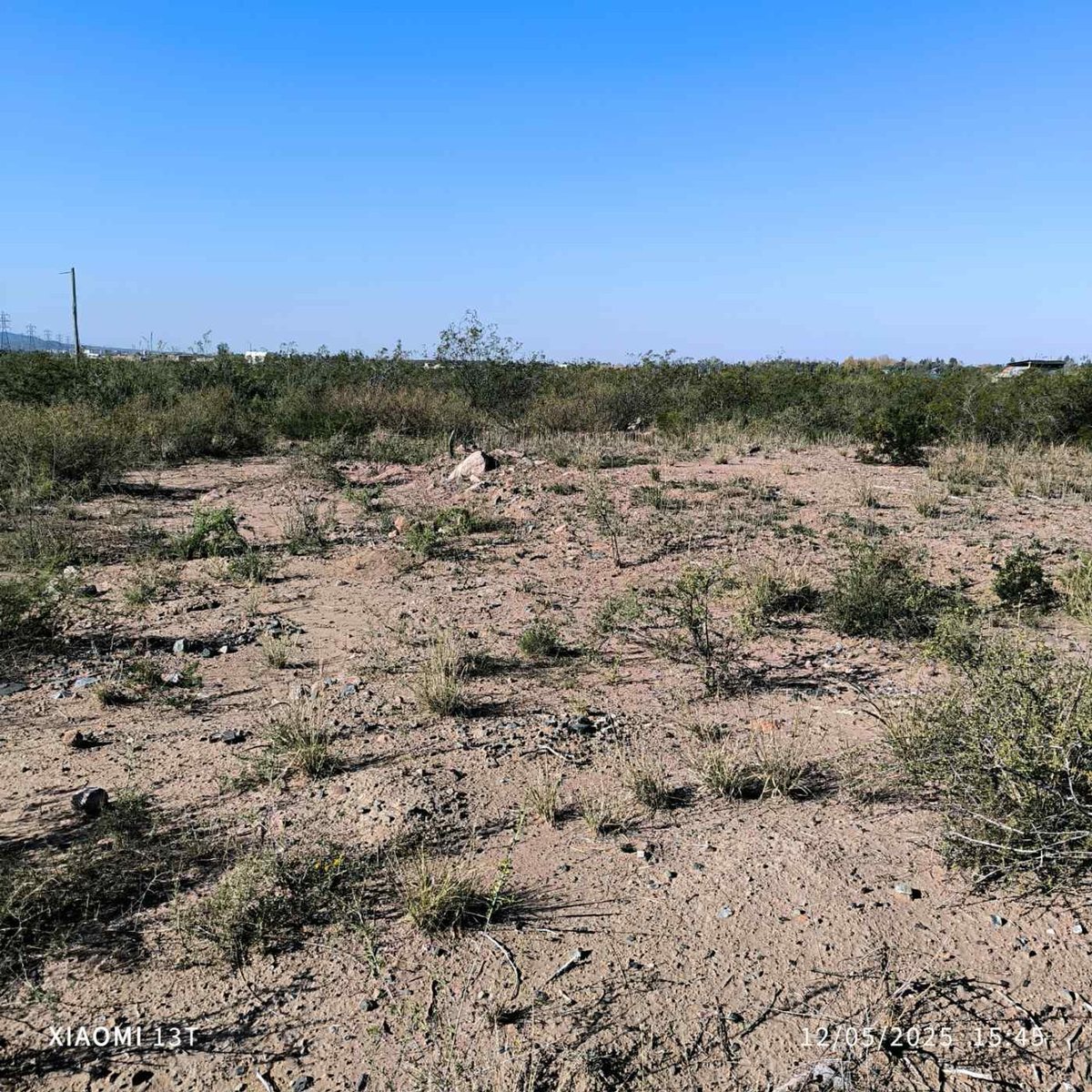Lote en Venta en Lujan de Cuyo, Mendoza