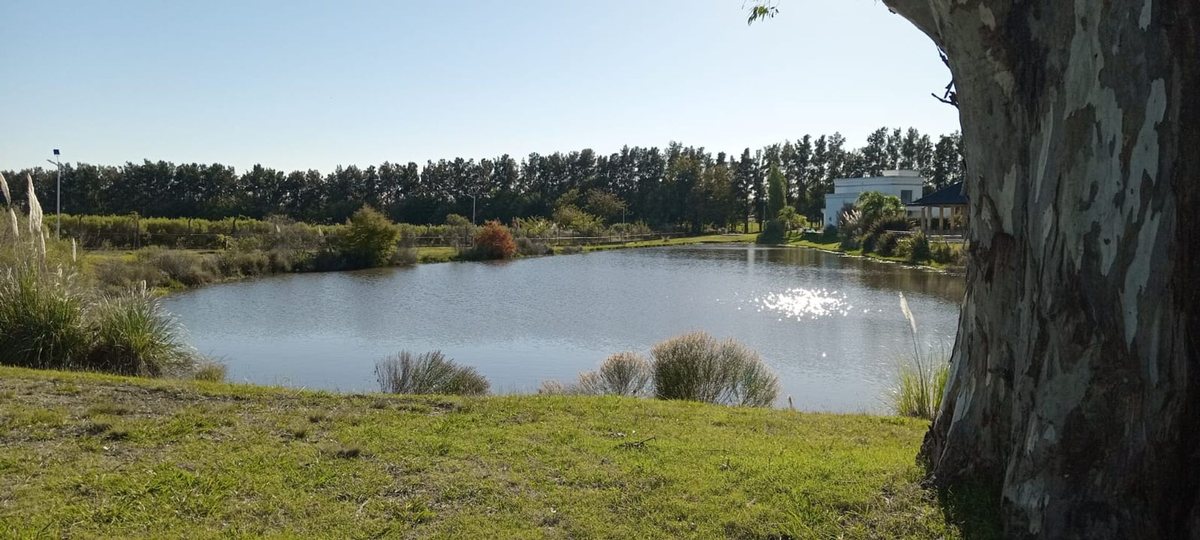 Lote en Venta en Campana, G.B.A. Zona Norte