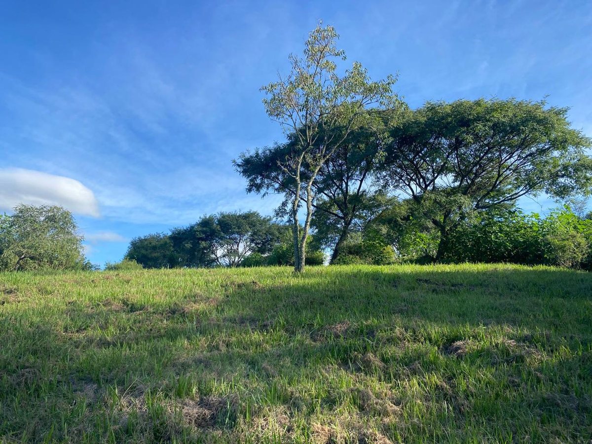 Lote en Venta en Capital, Salta