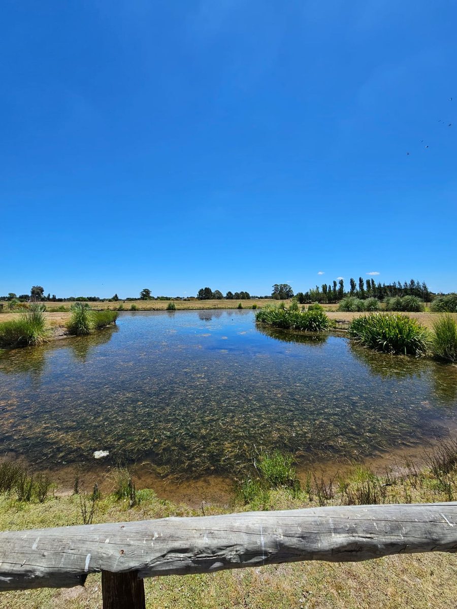 Oficina en Venta en Lujan, G.B.A. Zona Oeste