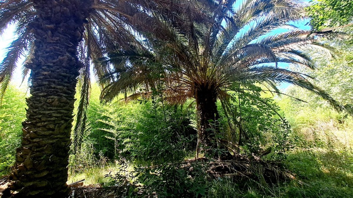 Campo en Venta en Coronel Brandsen, Buenos Aires Interior
