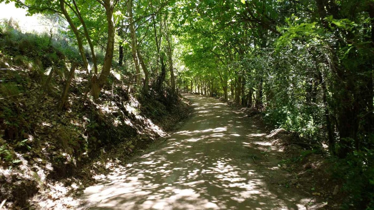 Campo en Venta en Colon, Cordoba