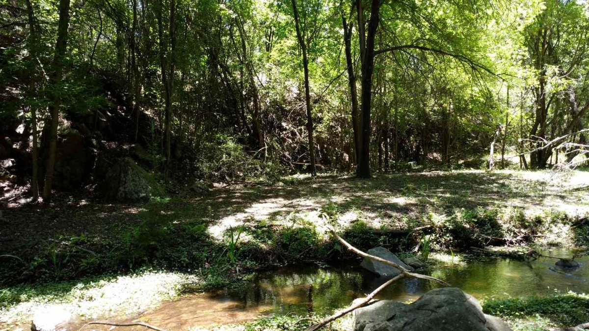 Campo en Venta en Colon, Cordoba