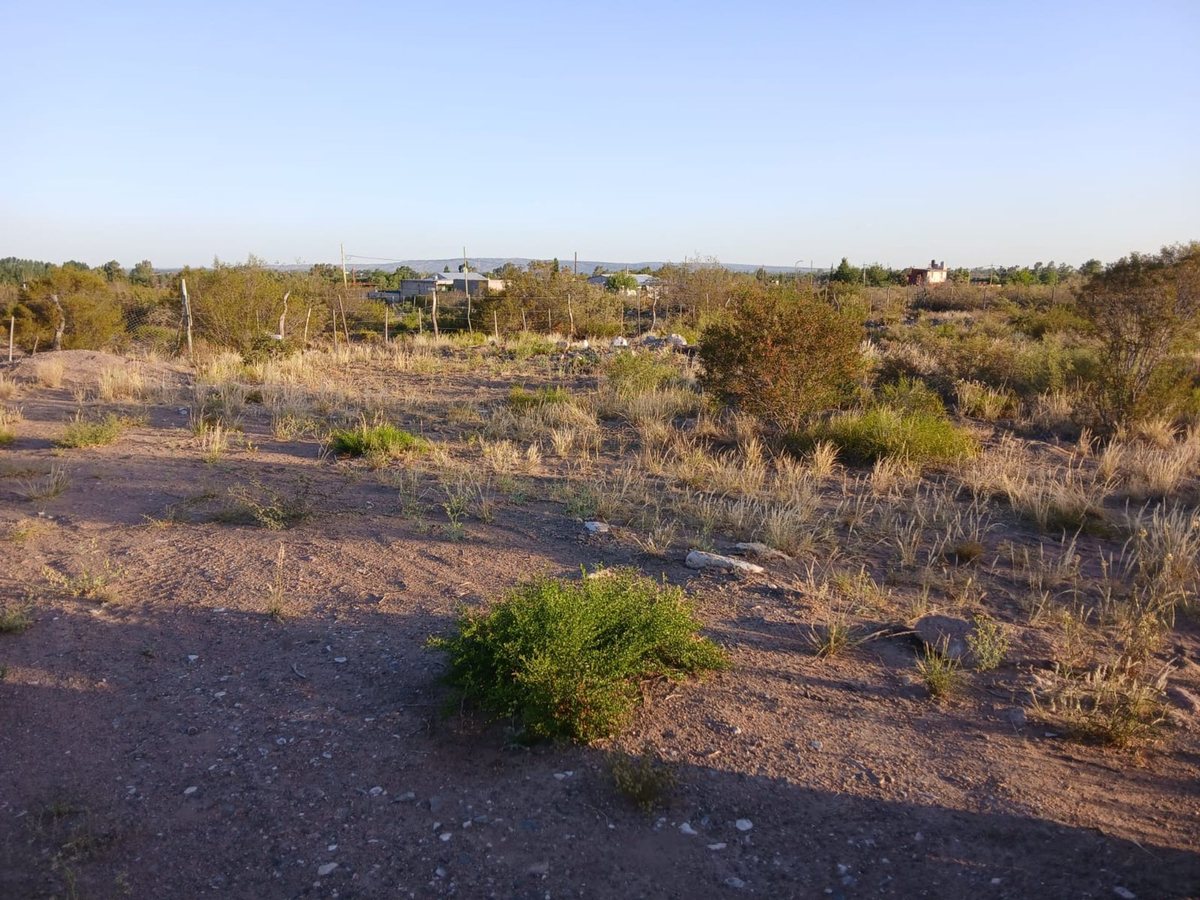 Lote en Venta en Lujan de Cuyo, Mendoza