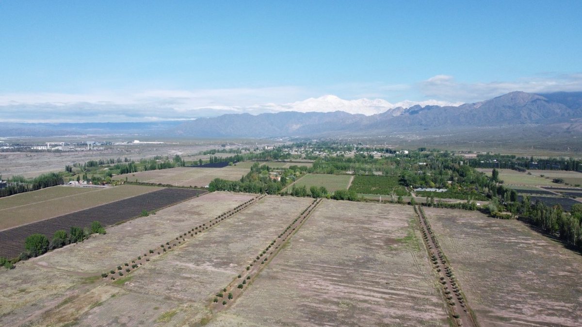 Lote en Venta en Lujan de Cuyo, Mendoza