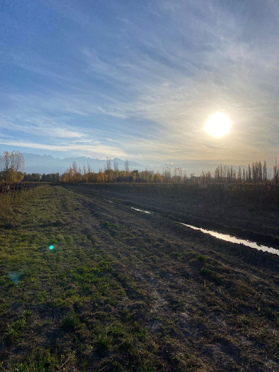 Campo en Venta en San Carlos, Mendoza