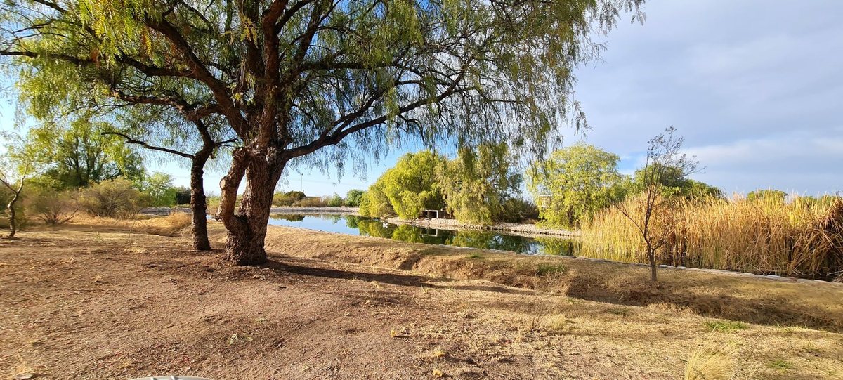 Lote en Venta en San Rafael, Mendoza
