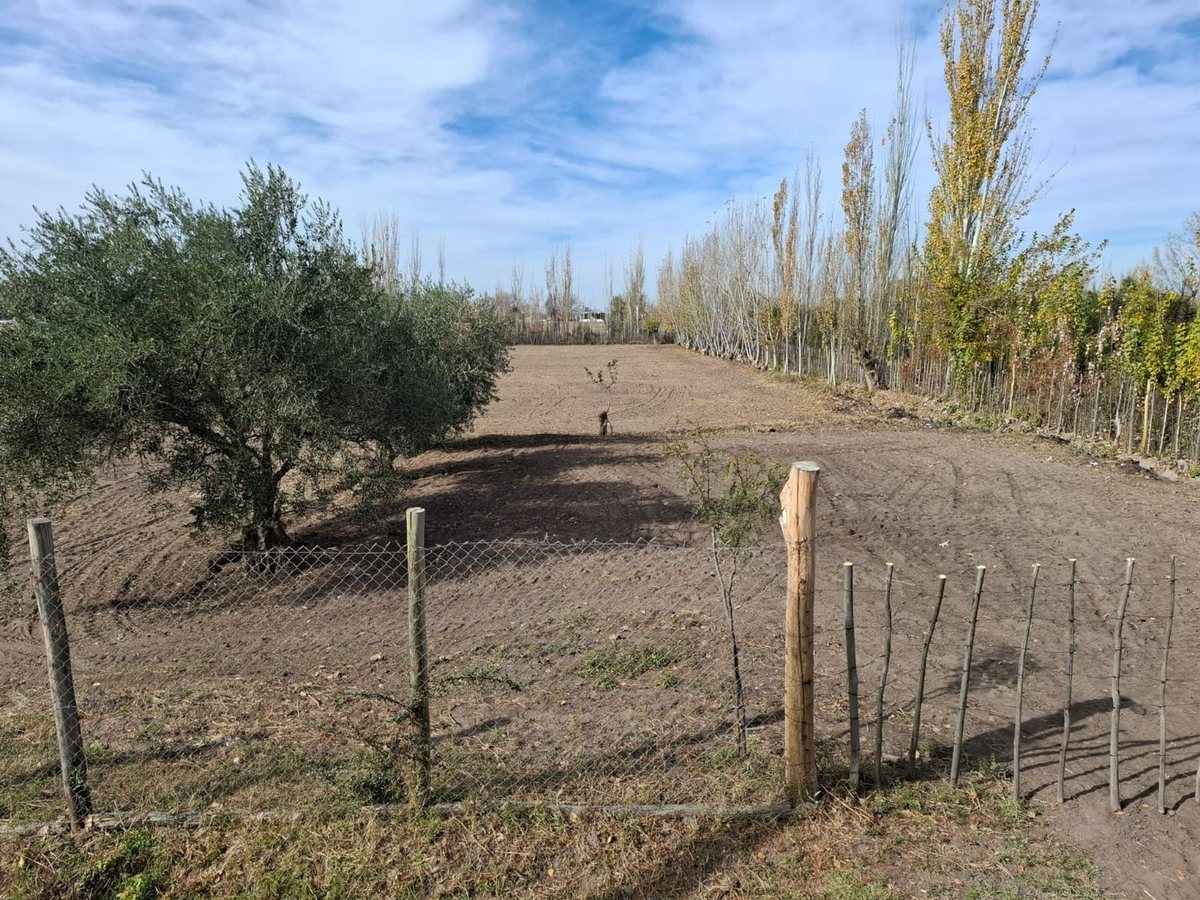 Lote en Venta en San Martin, Mendoza