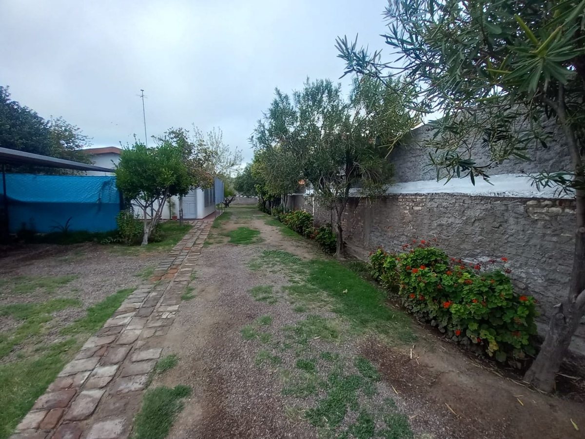 P H en Venta en San Martin, Mendoza