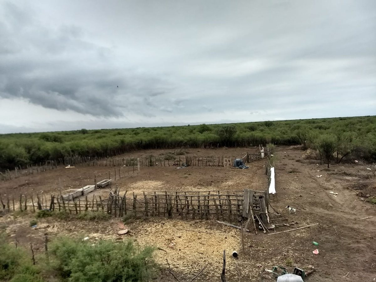Campo en Venta en General alvear, Mendoza
