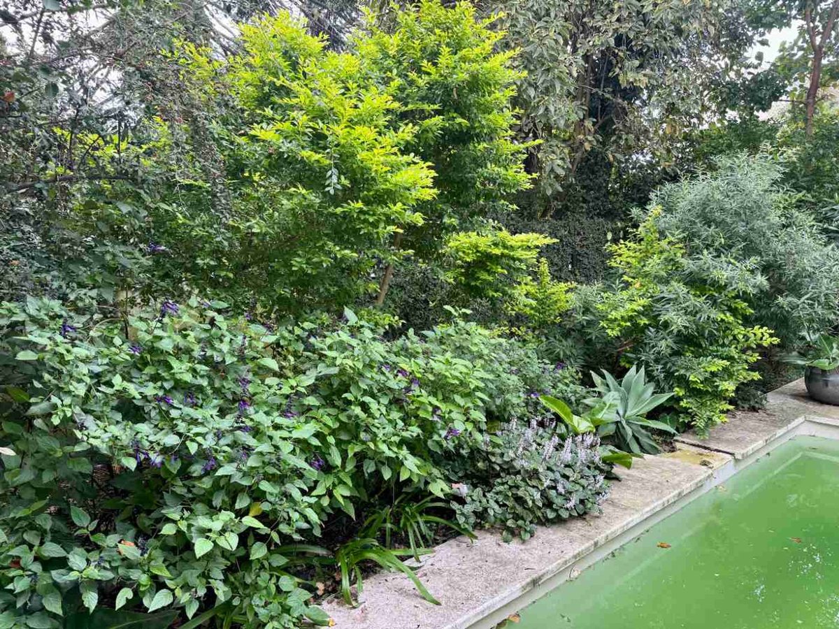 Casa en Venta en San Isidro, G.B.A. Zona Norte