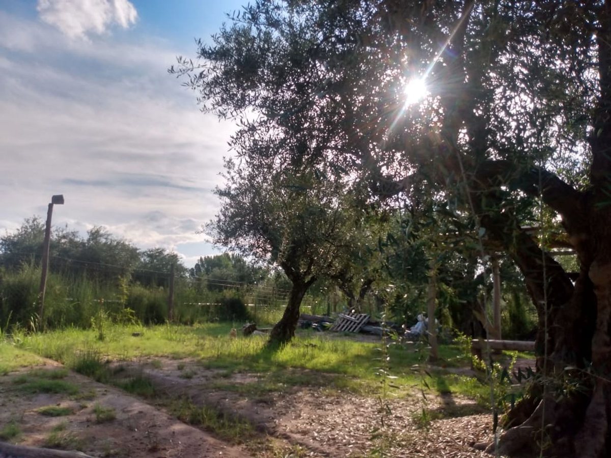 Lote en Venta en Maipu, Mendoza