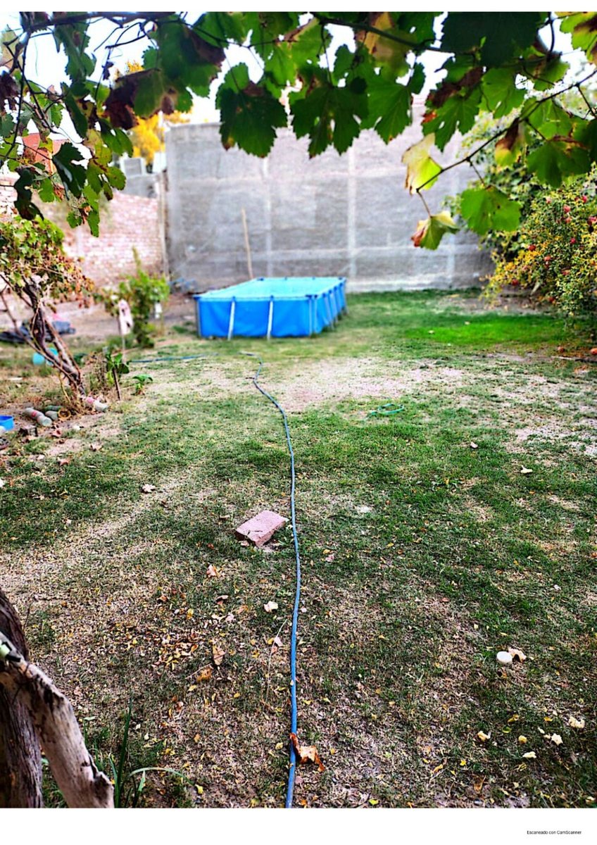 Casa en Venta en Santa Rosa, Mendoza