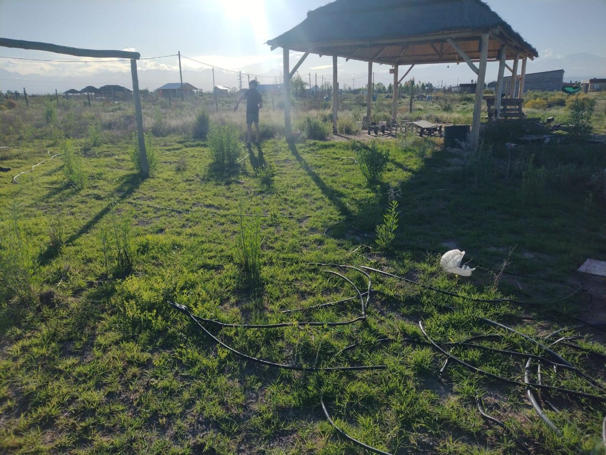 Lote en Venta en Lujan de Cuyo, Mendoza