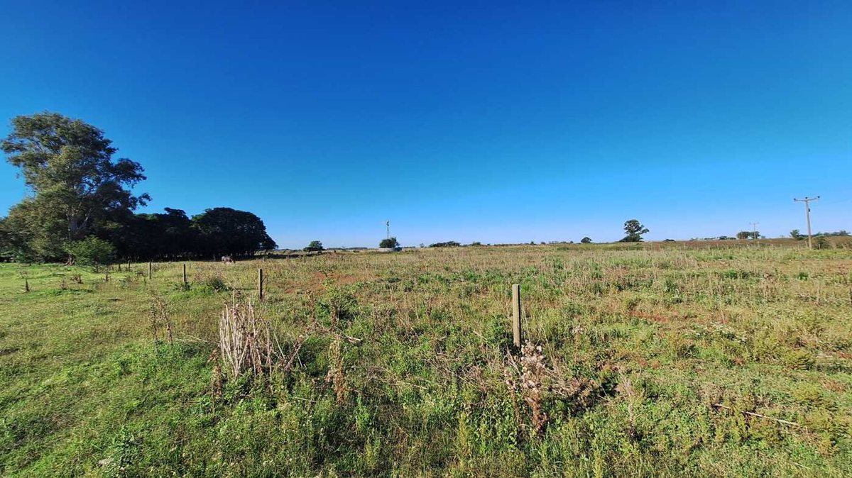 Campo en Venta en Pergamino, Buenos Aires Interior