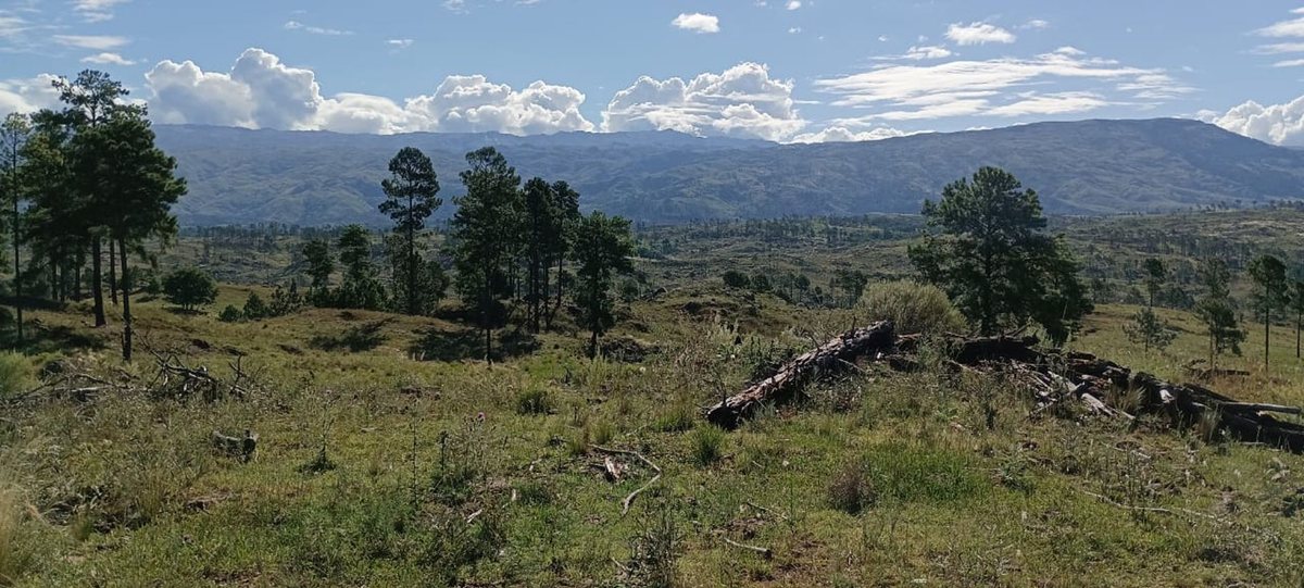 Lote en Venta en Calamuchita, Cordoba