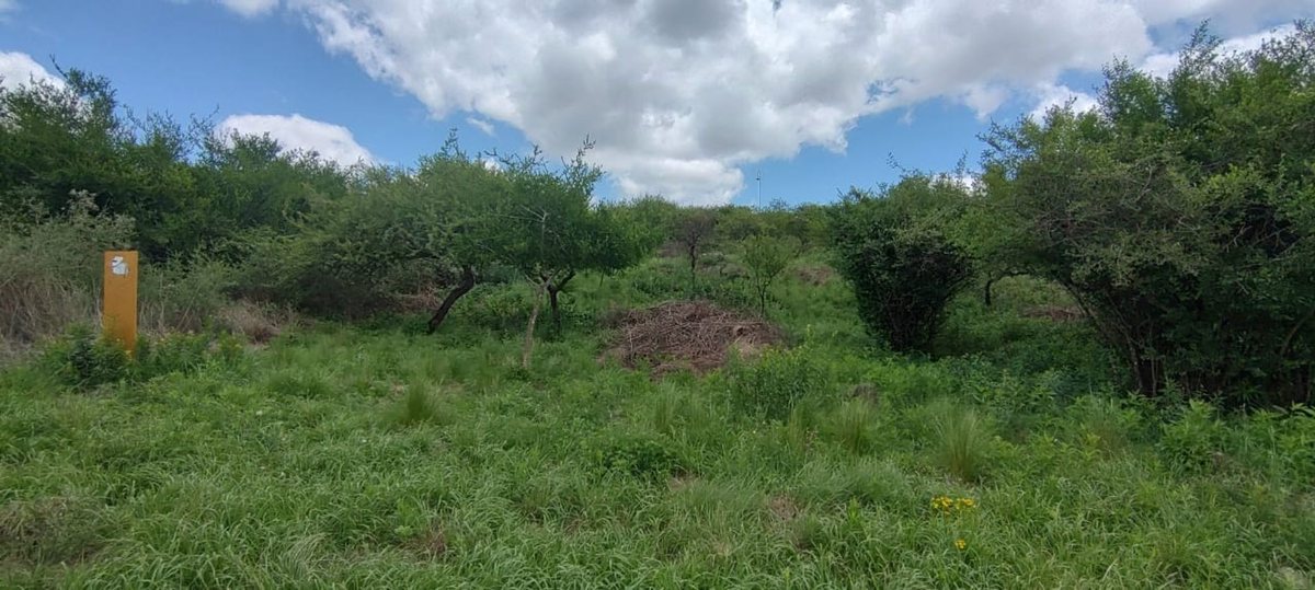 Lote en Venta en Santa Maria, Cordoba