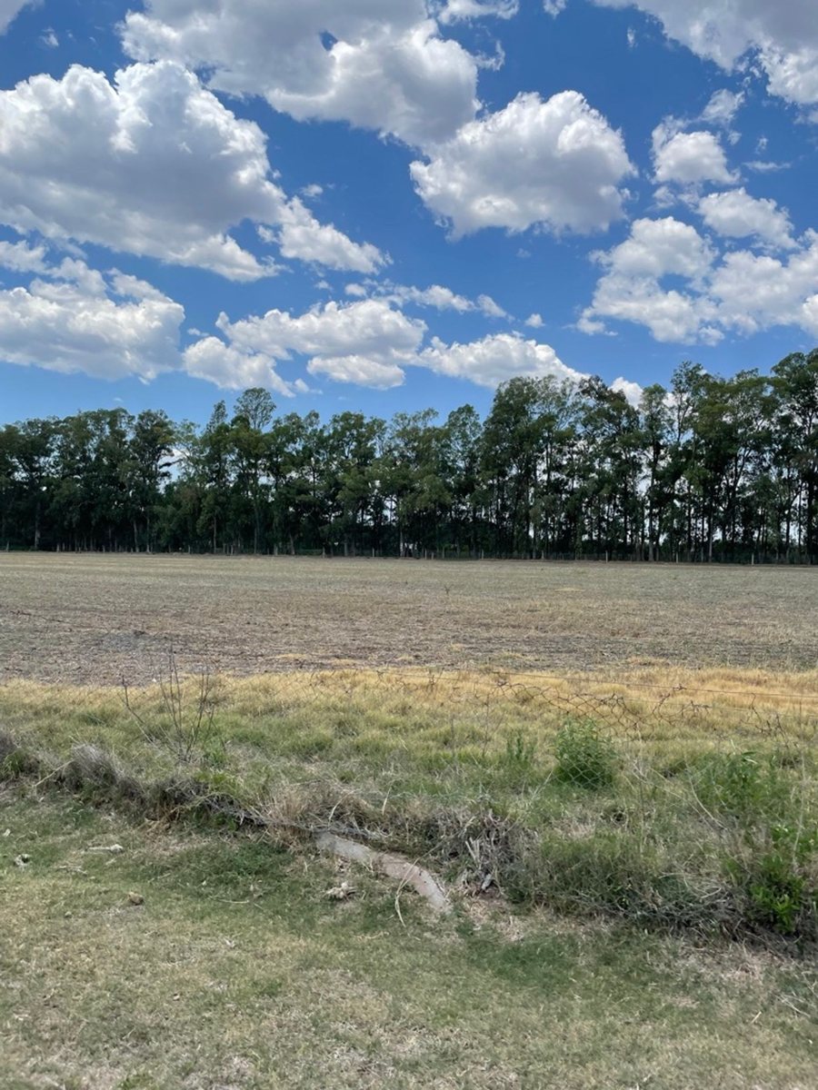 Campo en Venta en Baradero, Buenos Aires Interior