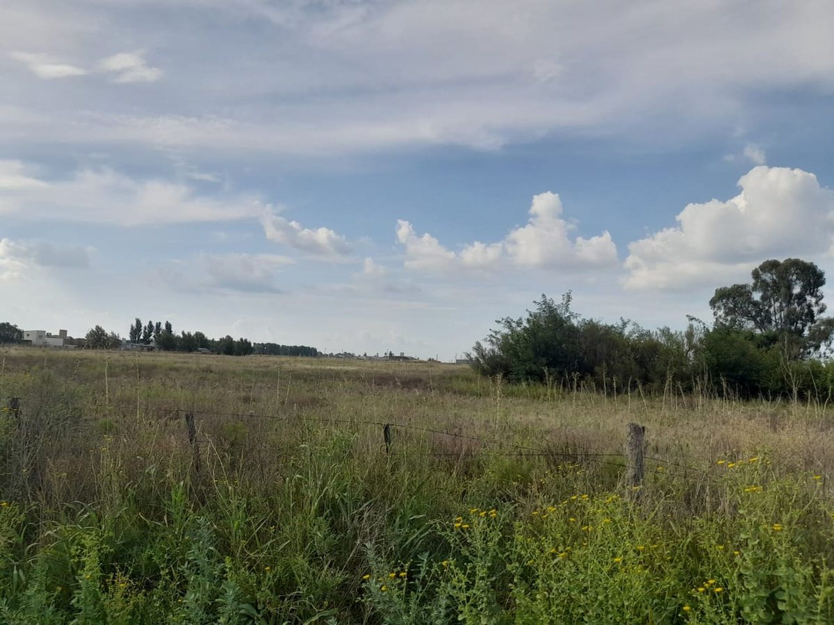 Campo en Venta en Maracó, La Pampa