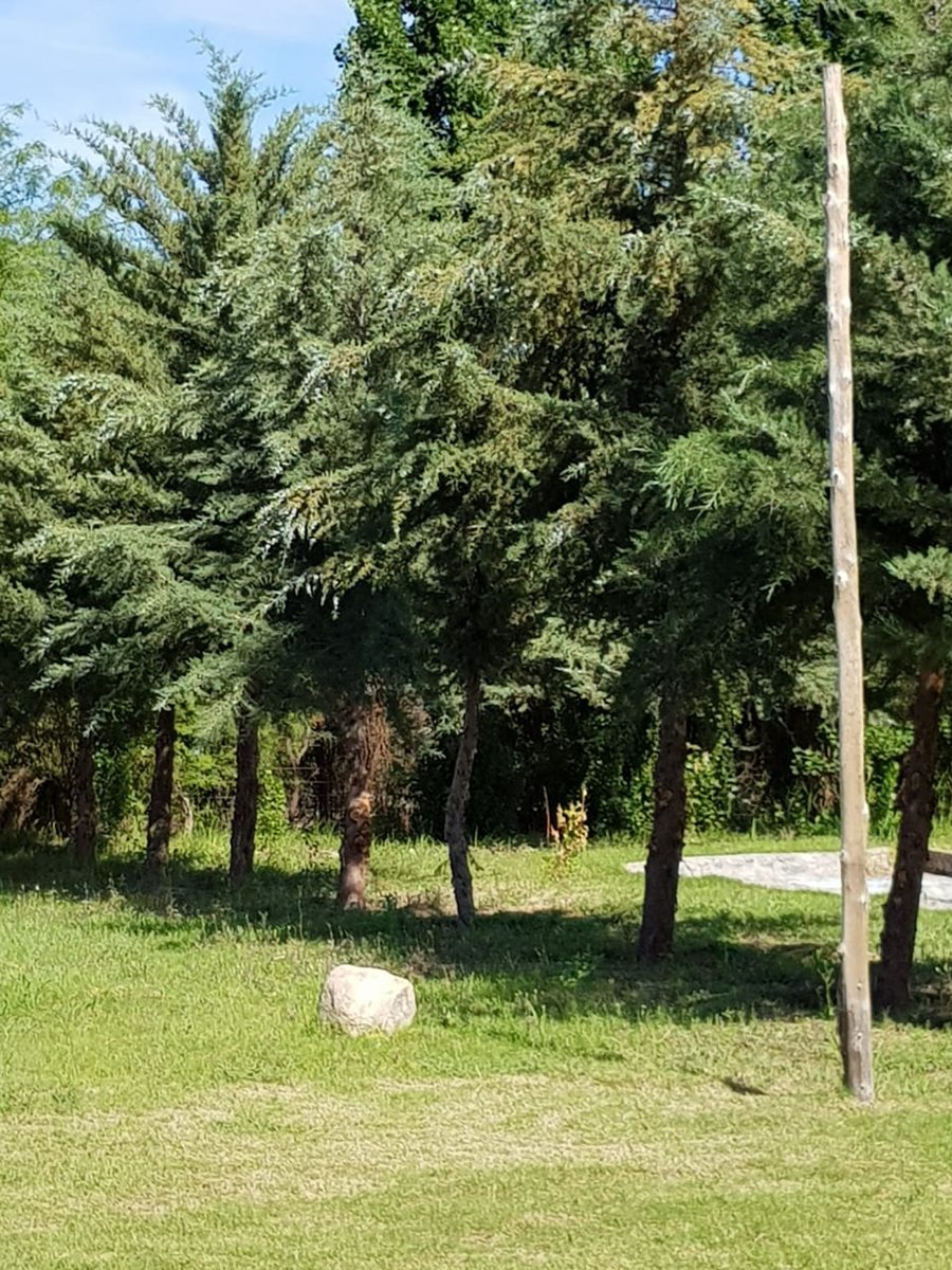 Quinta en Venta en Poman, Catamarca