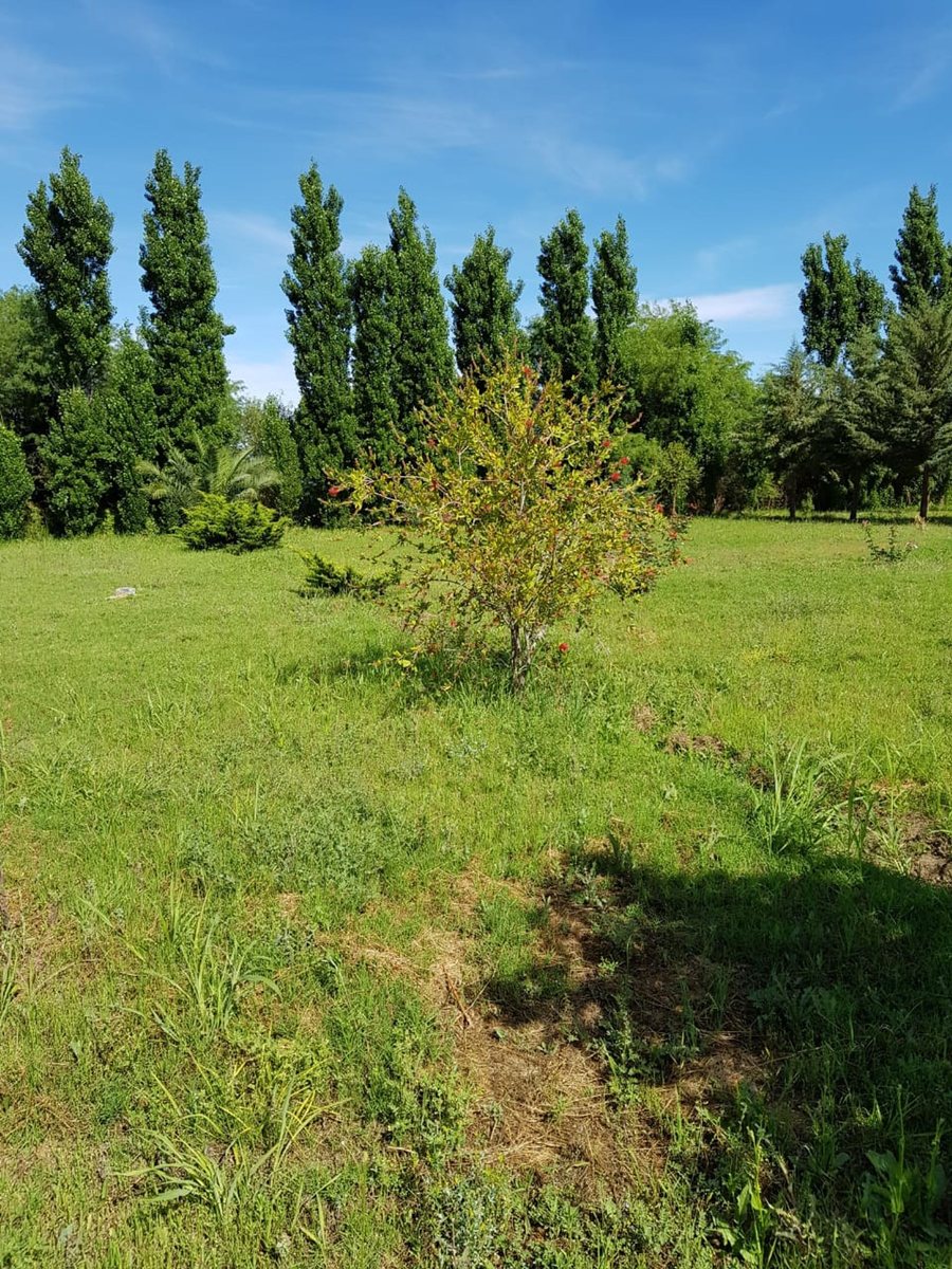 Quinta en Venta en Poman, Catamarca