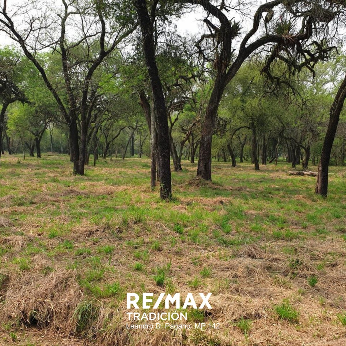 Lote en Venta en 1 de Mayo, Chaco