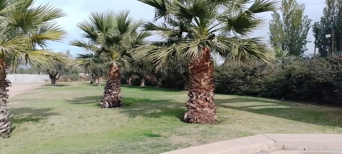 Lote en Venta en Maipu, Mendoza