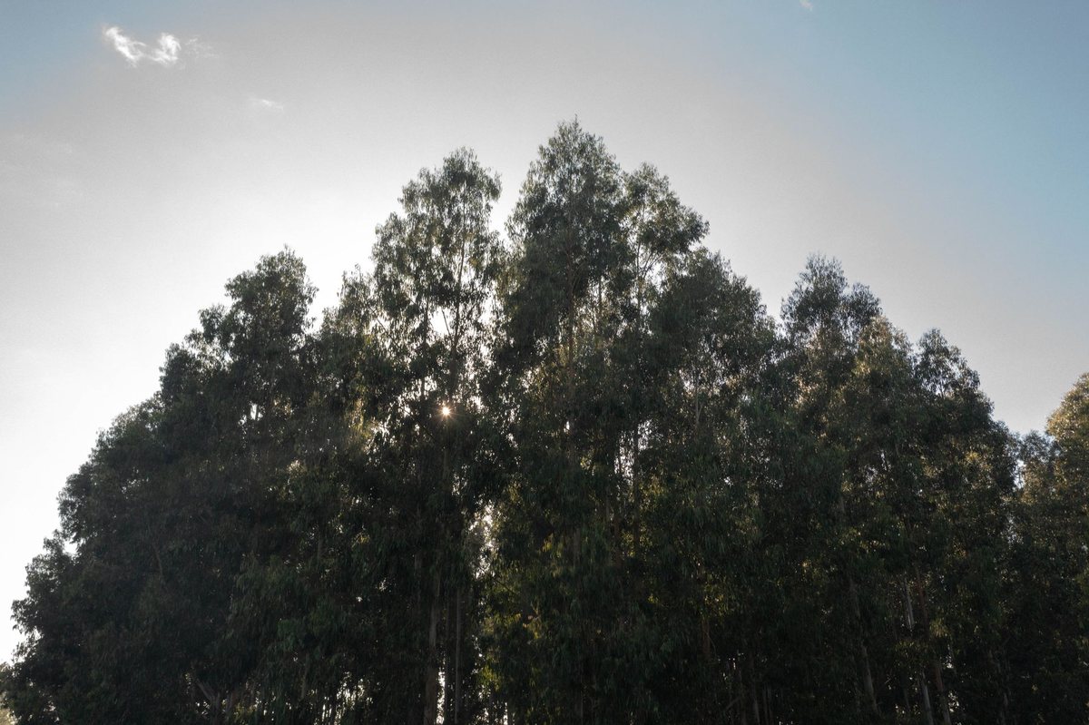 Campo en Venta en Pilar, G.B.A. Zona Norte