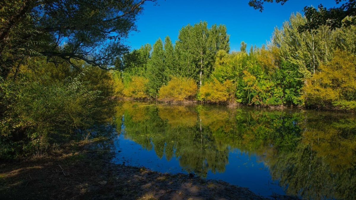 Lote en Venta en Confluencia, Neuquen