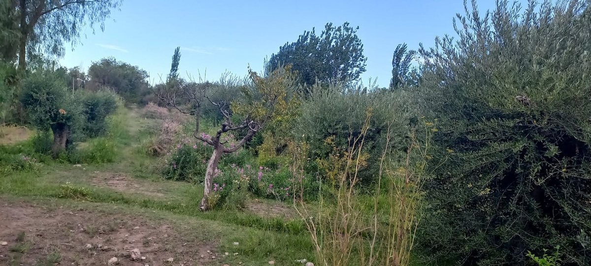 Casa en Venta en Maipu, Mendoza