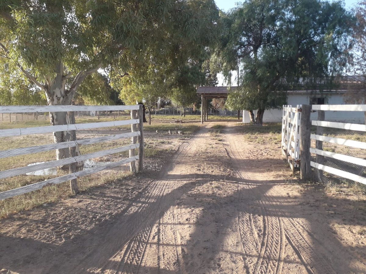 Campo en Venta en La Paz, Mendoza