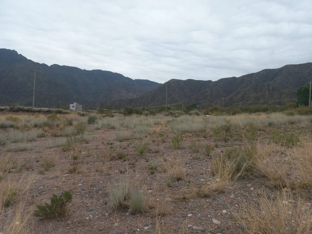 Lote en Venta en Lujan de Cuyo, Mendoza