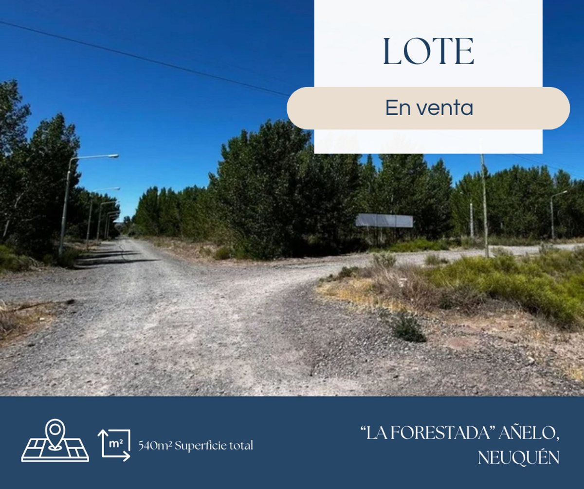 Lote en Venta en Añelo, Neuquen