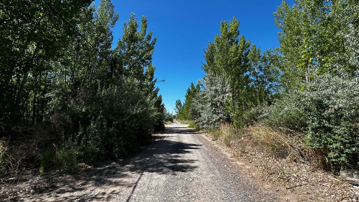 Lote en Venta en Añelo, Neuquen