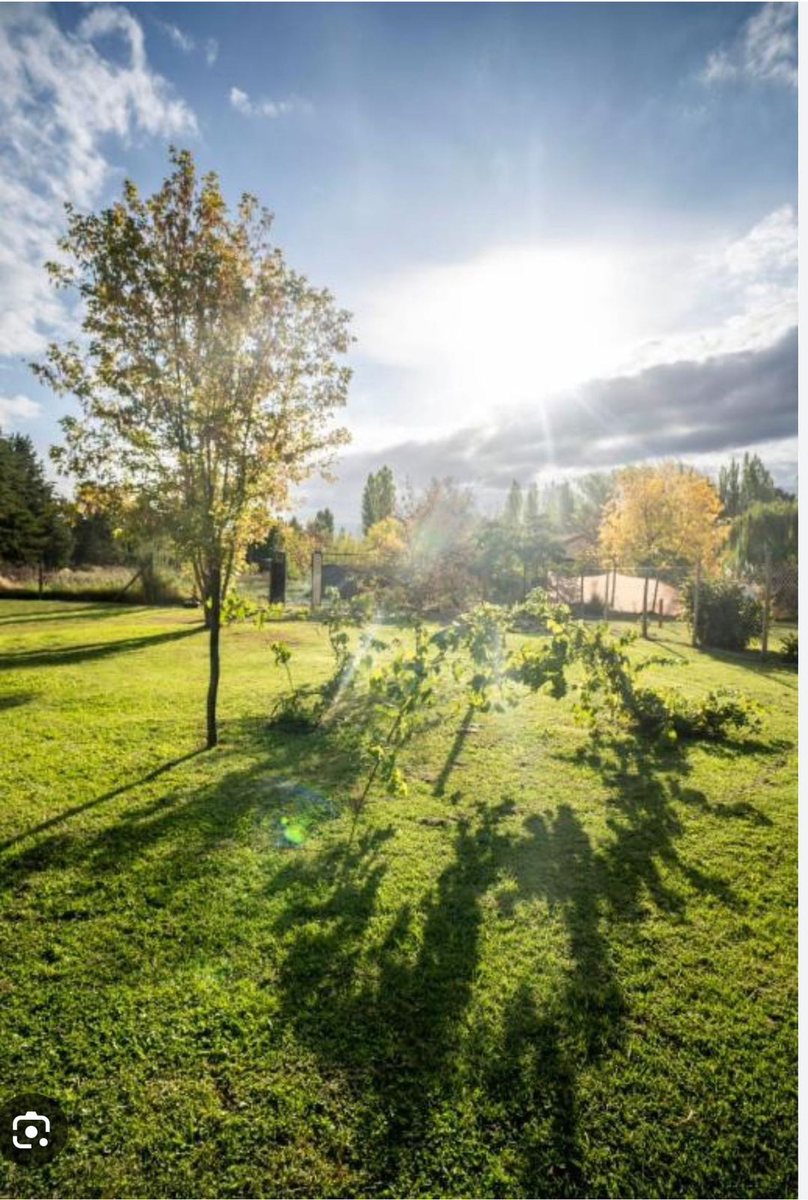 Lote en Venta en Lujan de Cuyo, Mendoza