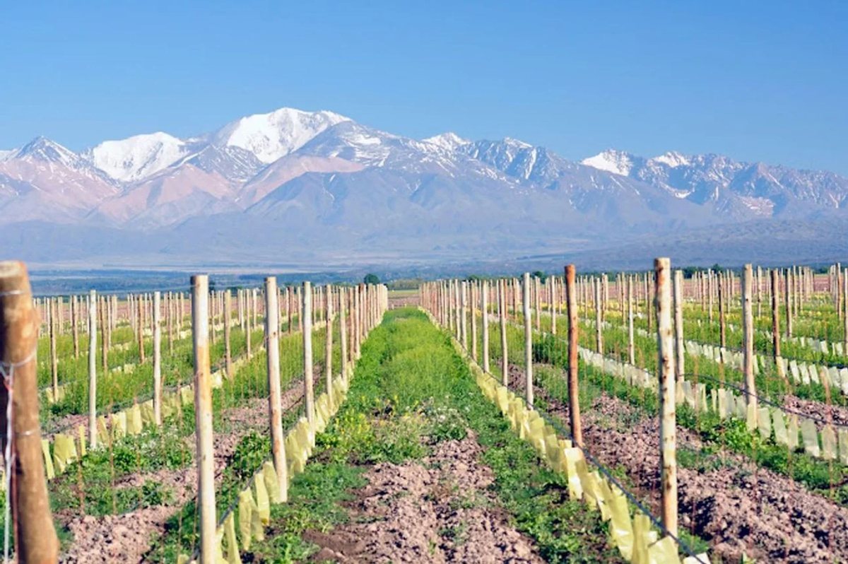 Lote en Venta en Tupungato, Mendoza